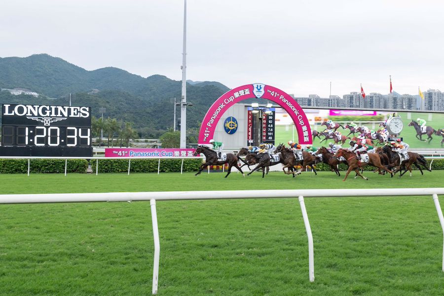 第41屆樂聲盃由姚本輝訓練的8號馬「堅又威」勝出。